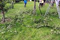 Sommerschnittkurs 2017 KLG--10